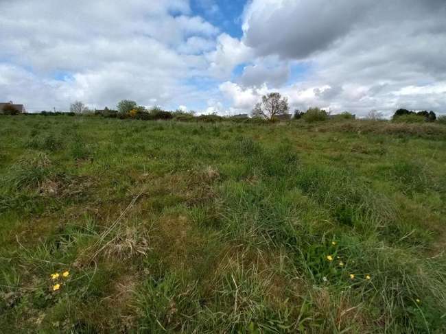 Terrain 4260 m² · à Meslan · 4 260 m² · 84 860 €