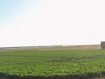 Vente Terrain 1476 m&sup2;Mesnil-Sellières