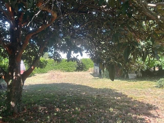 Vente de terrain
