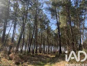 Vente Terrain 67925 m&sup2;Mézeray