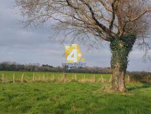 Vente Terrain 997 m&sup2;Missillac