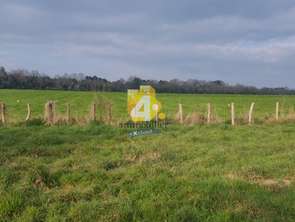 Vente Terrain 984 m&sup2;Missillac