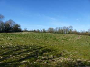 Vente Terrain 13535 m&sup2;Mobecq
