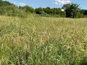 Vente Terrain 4874 m&sup2;Moisdon-la-Rivière
