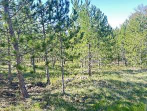 Vente Terrain 501 m&sup2;Mollans-sur-Ouvèze