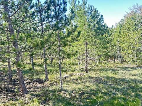 Vente de terrain Mollans-sur-Ouvèze 26