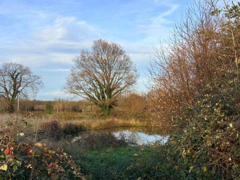 Vente de terrain Moncoutant 79