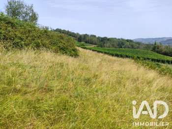 Vente Terrain 1000 m&sup2;Monein