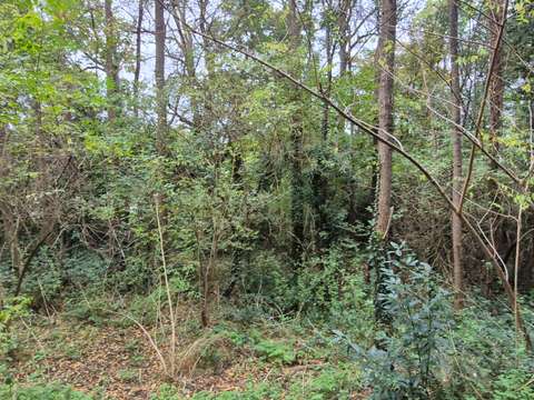 Vente de terrain Monnières 44