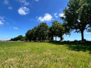 Vente Terrain 975 m&sup2;Montaigu-Vendée