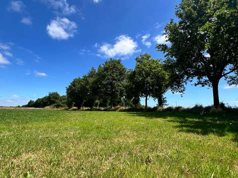 Vente de terrain Montaigu-Vendée 85