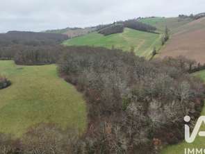 Vente Terrain 99131 m&sup2;Montastruc-Savès
