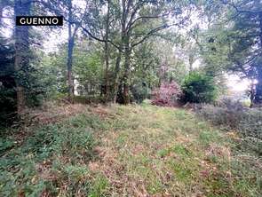 Vente Terrain 9033 m&sup2;Montauban-de-Bretagne