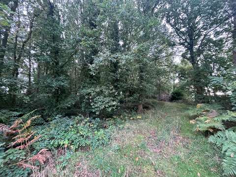 Vente de terrain
