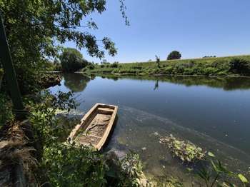 Vente Terrain 572 m&sup2;Montbizot