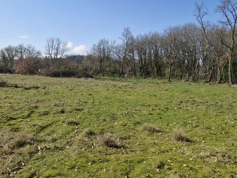 Vente de terrain Montcaret 24