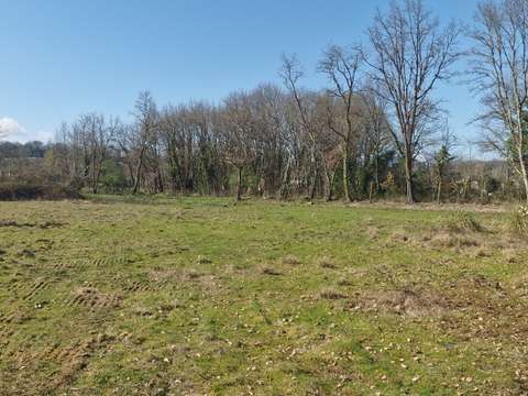 Vente de terrain