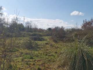 Vente de terrain
