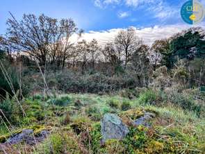 Vente Terrain 1716 m&sup2;Monteneuf