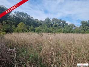 Vente Terrain 56990 m&sup2;Monteneuf