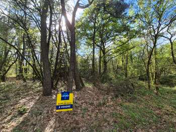 Vente de terrain Monteneuf 56