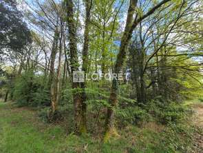 Vente Terrain 3445 m&sup2;Monteneuf