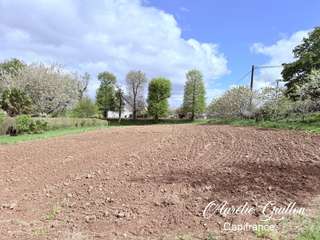 Vente de terrain