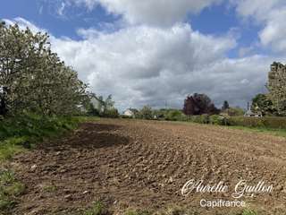 Vente de terrain