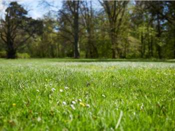 Vente de terrain Montertelot 56