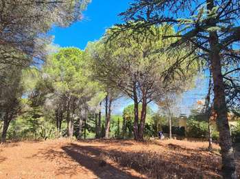 Vente de terrain Montesquieu-des-Albères 66