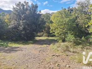 Vente Terrain 5345 m&sup2;Montesquieu-des-Albères