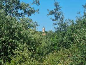 Vente Terrain 660 m&sup2;Montesquieu-des-Albères