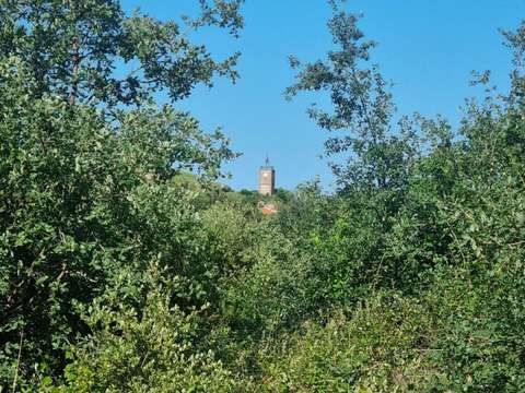Vente de terrain Montesquieu-des-Albères 66