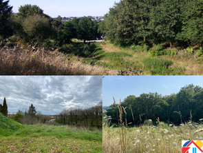 Vente Terrain 5198 m&sup2;Montfaucon-Montigné