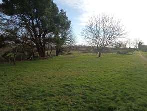 Vente Terrain 600 m&sup2;Montfaucon-Montigné