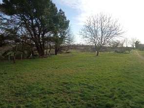 Vente Terrain 600 m&sup2;Montfaucon-Montigné