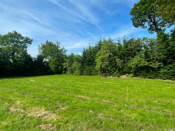 Vente de terrain