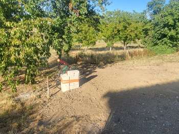 Vente Terrain 2357 m&sup2;Montgaillard