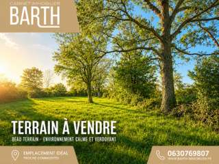 Vente de terrain