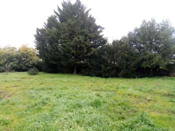 Vente de terrain Montjean-sur-Loire 49