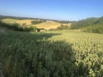 Vente de terrain