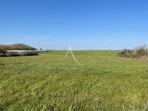 Vente Terrain 3243 m&sup2;Montreuil