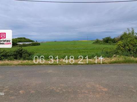 Vente de terrain Montreuil 85