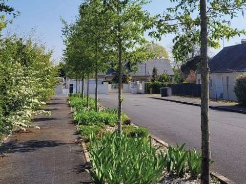 Vente de terrain Montreuil-Bellay 49