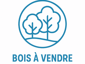 Vente Terrain 249564 m&sup2;Montroty