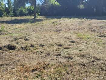 Vente de terrain