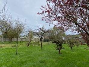 Vente Terrain 1630 m&sup2;Morieux