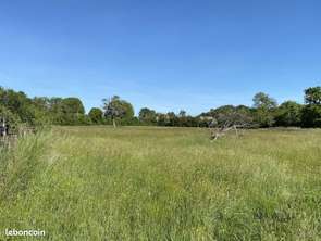 Vente Terrain 1029 m&sup2;Morteaux-Couliboeuf