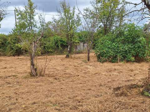 Vente de terrain Mosnay 36