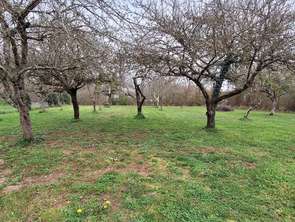 Vente Terrain 1030 m&sup2;Mosnay